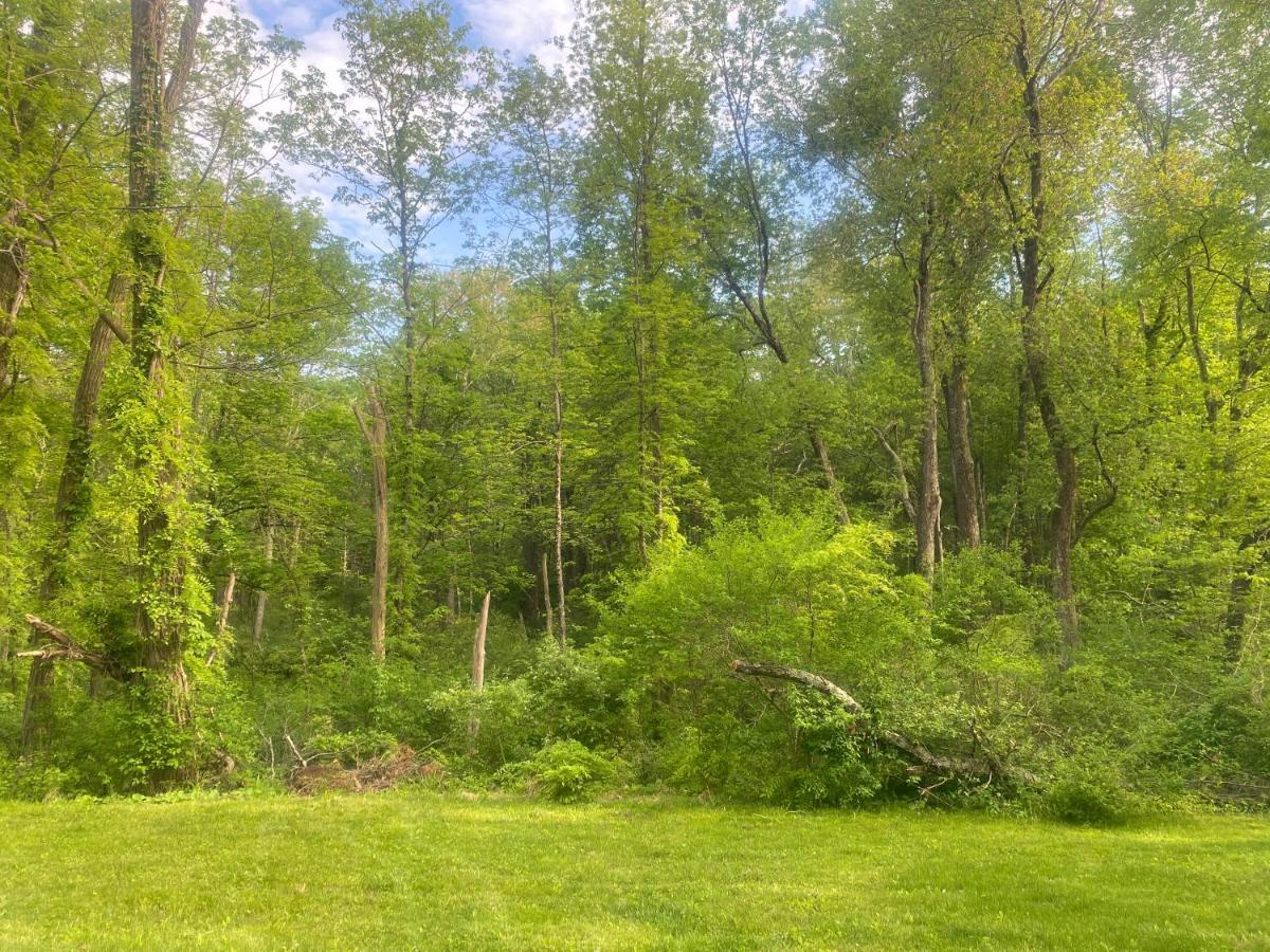 Newly Renovated 3Br Hudson Valley House Ulster Park Bagian luar foto